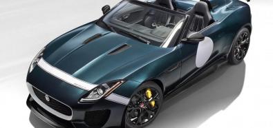 Jaguar F-Type Project 7