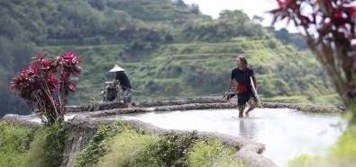 Wakeskating na tarasach ryżowych w Filipinach