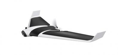 Parrot Disco 