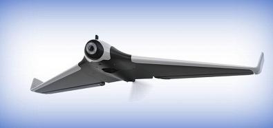 Parrot Disco 